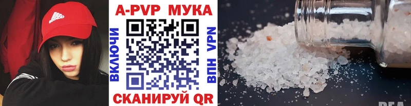 Где продают наркотики Бологое Псилоцибиновые грибы  APVP  ГАШ  ГЕРОИН  Канабис 