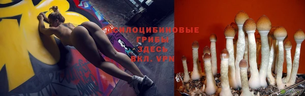 MDMA Premium VHQ Козельск
