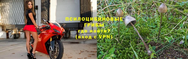 СК Волосово