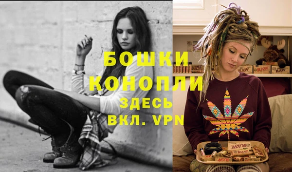 СК Волосово