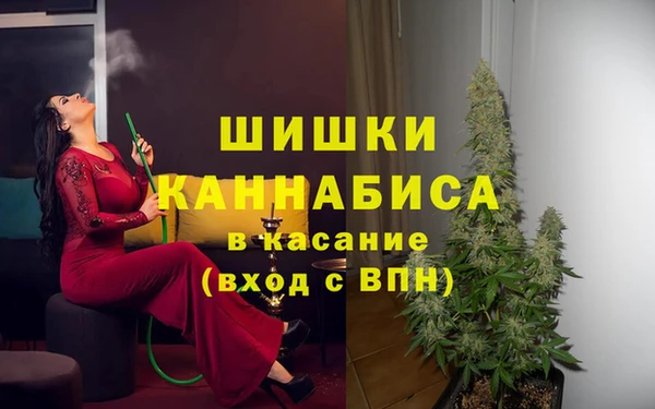 СК Волосово