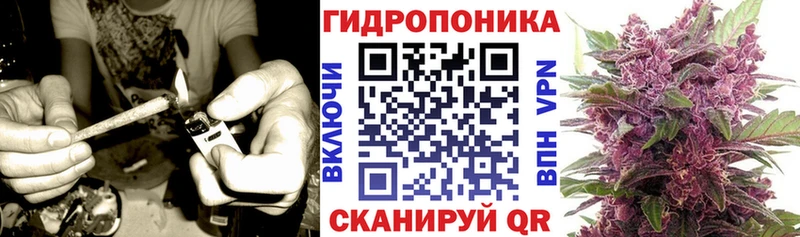 МАРИХУАНА семена Бологое